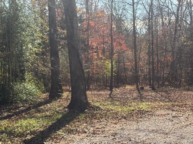 25565 69 HWY, Adamsville, TN 38310