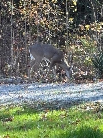 25565 69 HWY, Adamsville, TN 38310