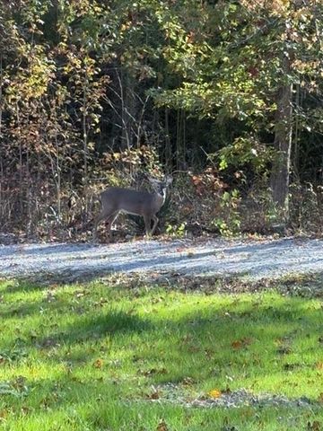 25565 69 HWY, Adamsville, TN 38310