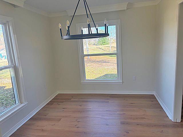 25565 69 HWY, Adamsville, TN 38310