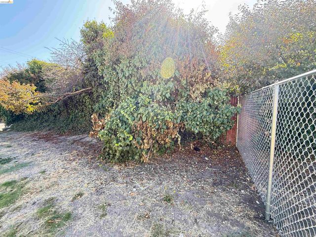 Olive St, Oakland, CA 94603