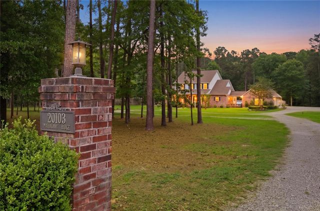 20103 Mahogany Ridge Drive, Magnolia, TX 77355