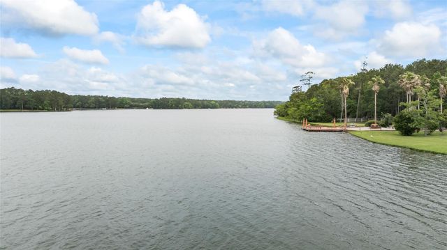 20103 Mahogany Ridge Drive, Magnolia, TX 77355