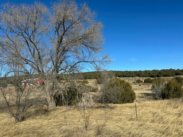 108 Brannan Rd Road, Tijeras, NM 87059