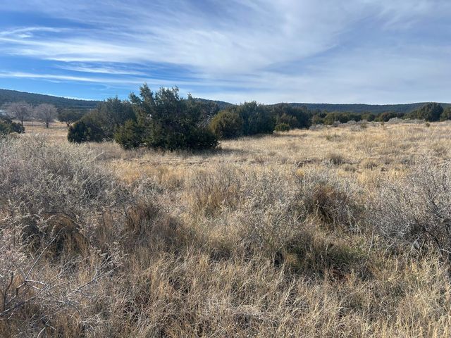 108 Brannan Rd Road, Tijeras, NM 87059