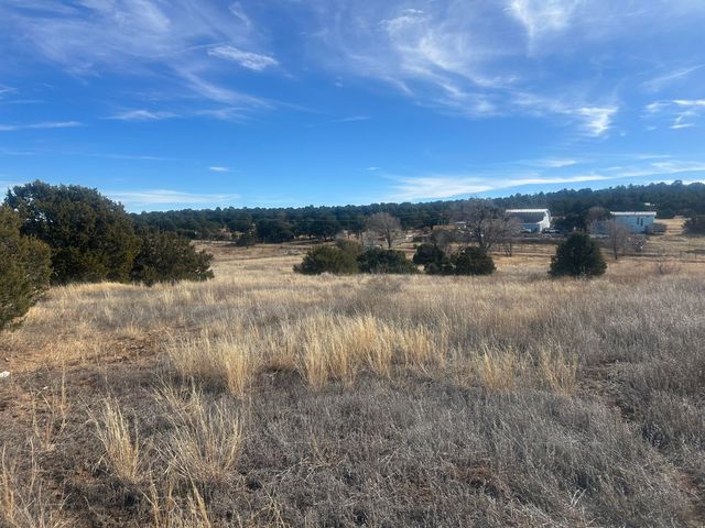 108 Brannan Rd Road, Tijeras, NM 87059