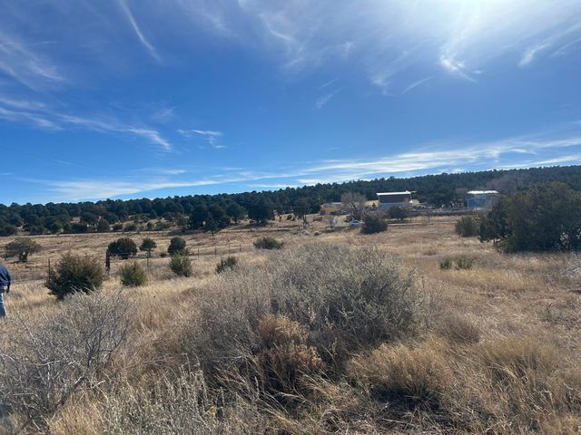 108 Brannan Rd Road, Tijeras, NM 87059
