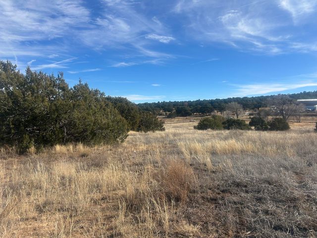 108 Brannan Rd Road, Tijeras, NM 87059