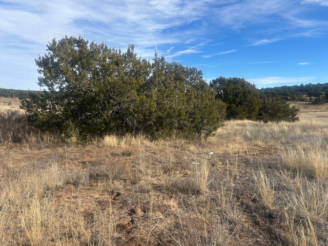 108 Brannan Rd Road, Tijeras, NM 87059
