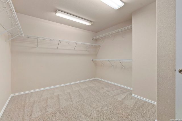 105 Kipper, Cibolo, TX 78108