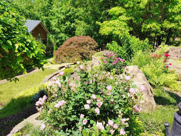 57 Toledo Drive, Hot Springs Village, AR 71909
