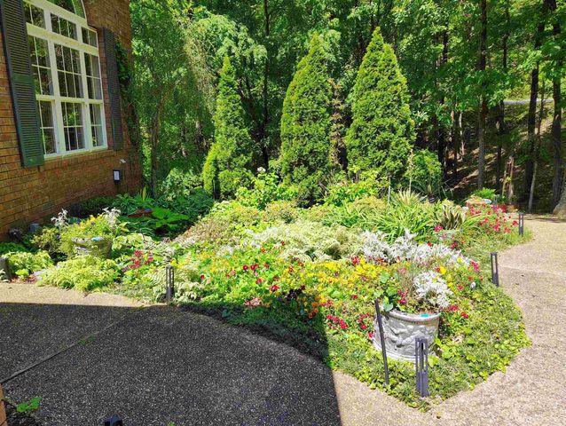 57 Toledo Drive, Hot Springs Village, AR 71909