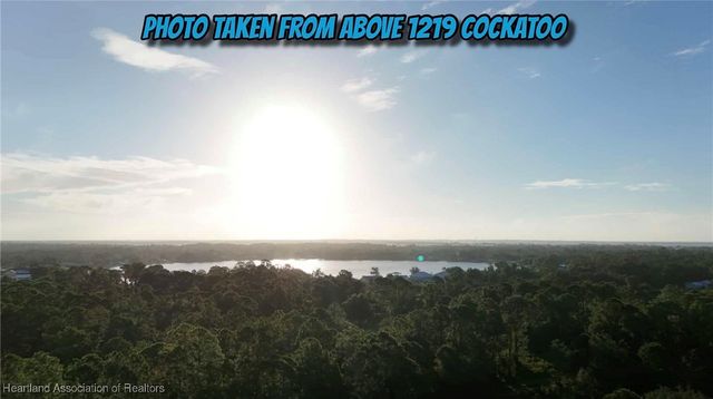 1219 Cockatoo Avenue, Lake Placid, FL 33852