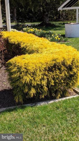 249 TWINING FORD RD, Richboro, PA 18954