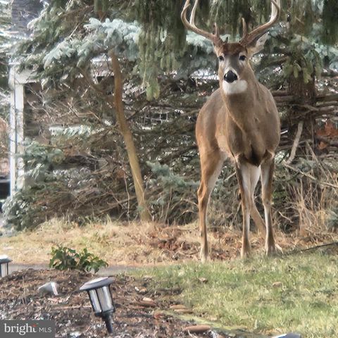 249 TWINING FORD RD, Richboro, PA 18954