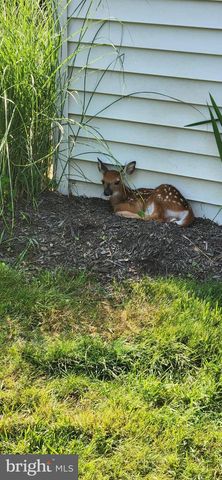 249 TWINING FORD RD, Richboro, PA 18954