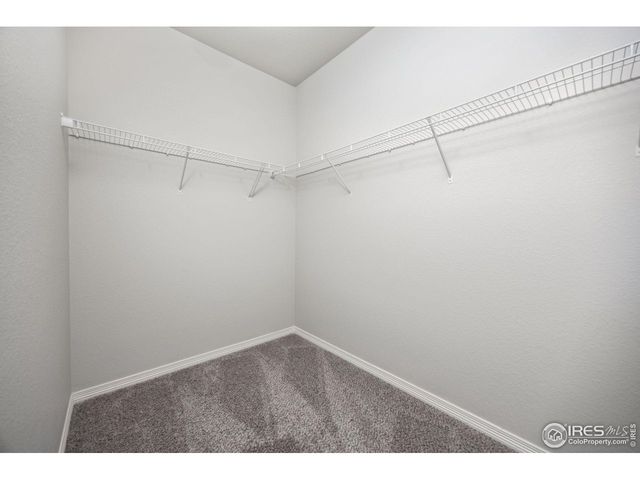 1686 Grand Ave 2, Windsor, CO 80550