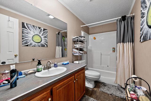 19 Morton Lane, Asheville, NC 28806