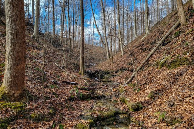 0 Hutchins Bend Rd, Sparta, TN 38583