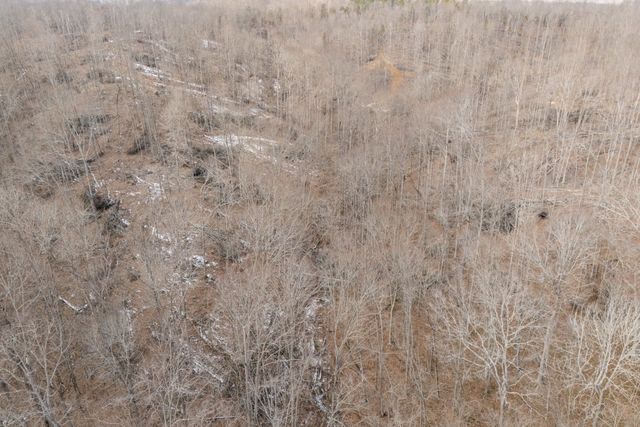 0 Hutchins Bend Rd, Sparta, TN 38583