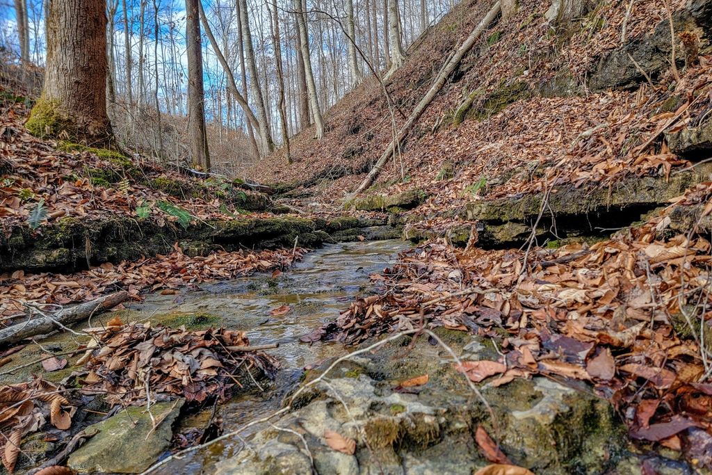 0 Hutchins Bend Rd, Sparta, TN 38583