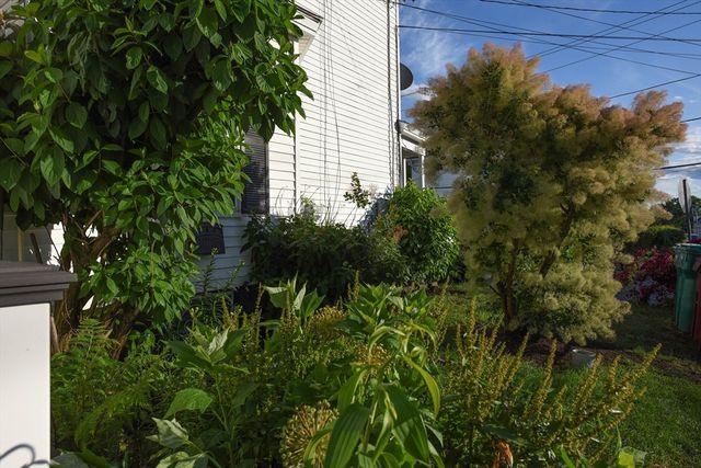 103 Dalton Street, Lowell, MA 01850