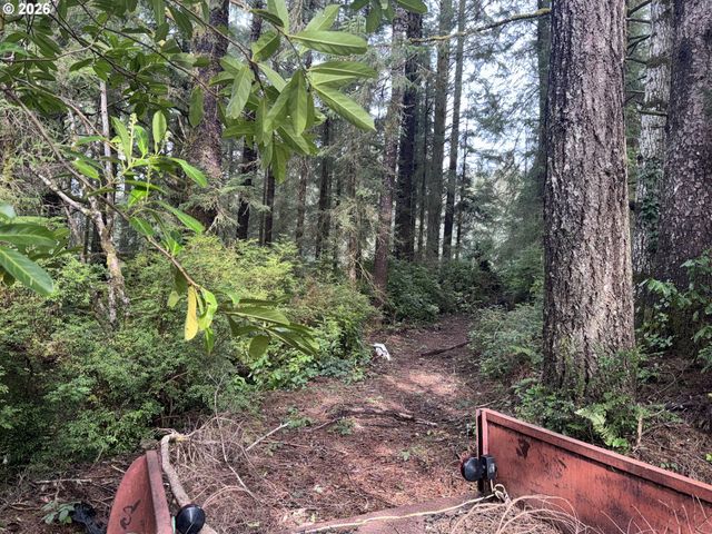 4923 MITCHELL LOOP Rd, Florence, OR 97439