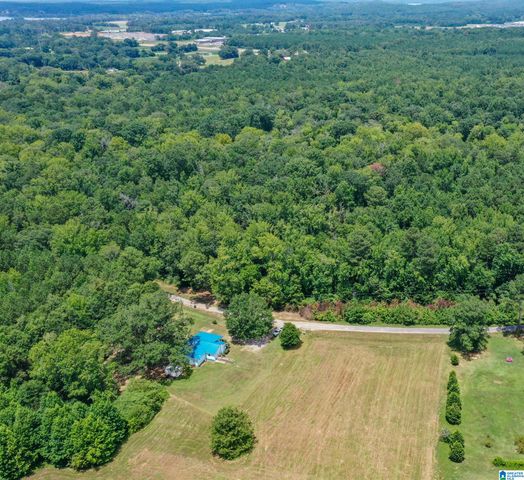 1675 BLUE EYE SPRINGS ROAD, Lincoln, AL 35096