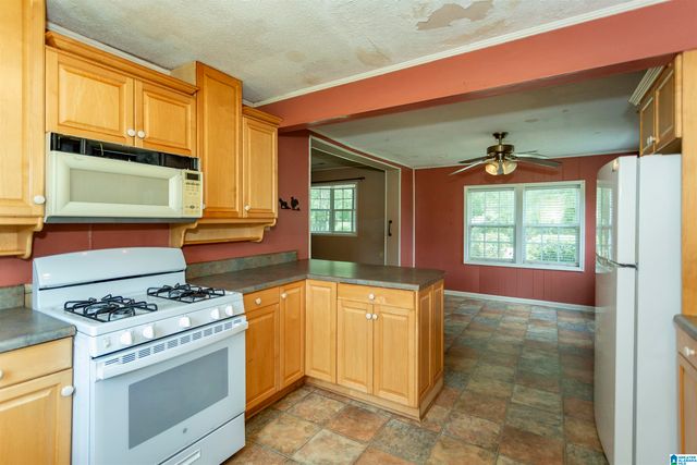 1675 BLUE EYE SPRINGS ROAD, Lincoln, AL 35096