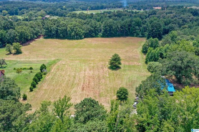 1675 BLUE EYE SPRINGS ROAD, Lincoln, AL 35096