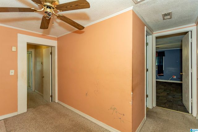 1675 BLUE EYE SPRINGS ROAD, Lincoln, AL 35096