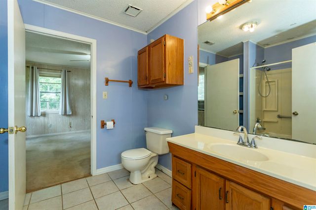1675 BLUE EYE SPRINGS ROAD, Lincoln, AL 35096