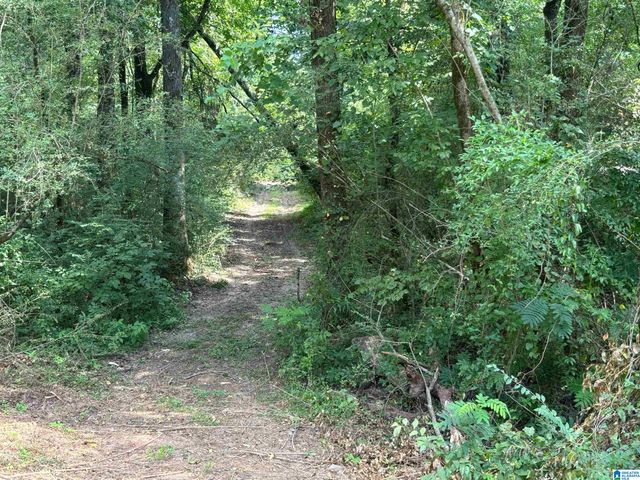 1675 BLUE EYE SPRINGS ROAD, Lincoln, AL 35096