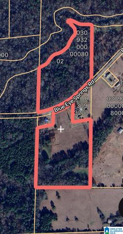 1675 BLUE EYE SPRINGS ROAD, Lincoln, AL 35096