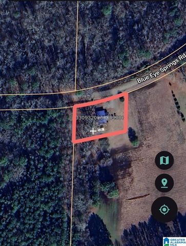 1675 BLUE EYE SPRINGS ROAD, Lincoln, AL 35096