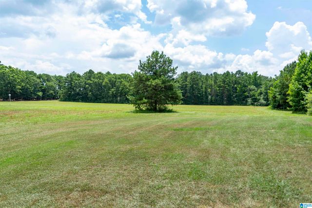 1675 BLUE EYE SPRINGS ROAD, Lincoln, AL 35096