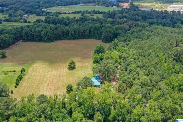 1675 BLUE EYE SPRINGS ROAD, Lincoln, AL 35096