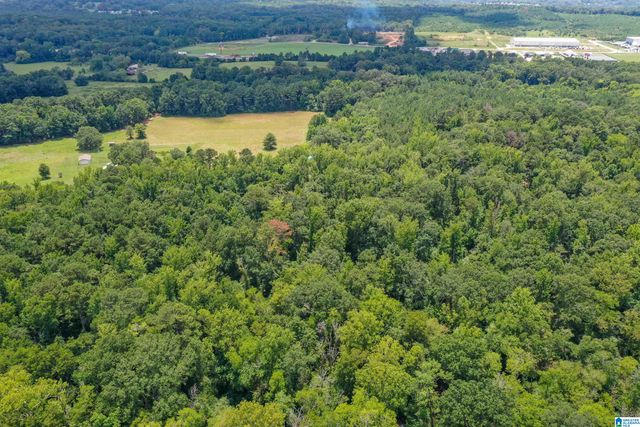1675 BLUE EYE SPRINGS ROAD, Lincoln, AL 35096