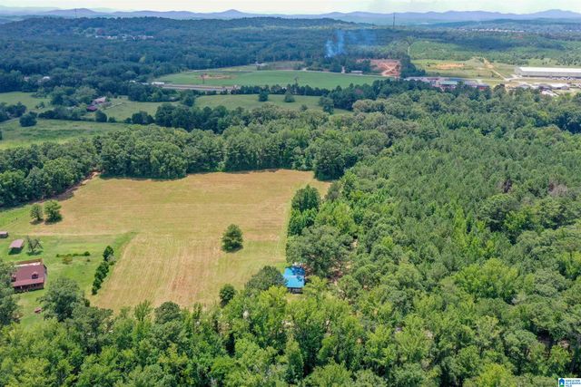 1675 BLUE EYE SPRINGS ROAD, Lincoln, AL 35096