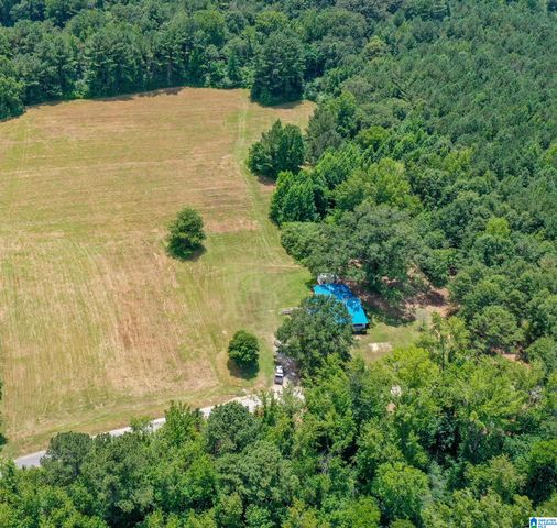1675 BLUE EYE SPRINGS ROAD, Lincoln, AL 35096