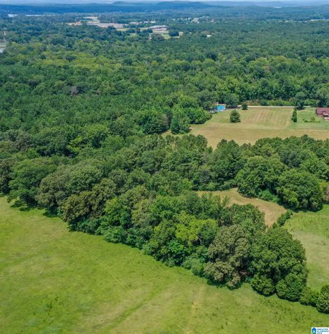1675 BLUE EYE SPRINGS ROAD, Lincoln, AL 35096
