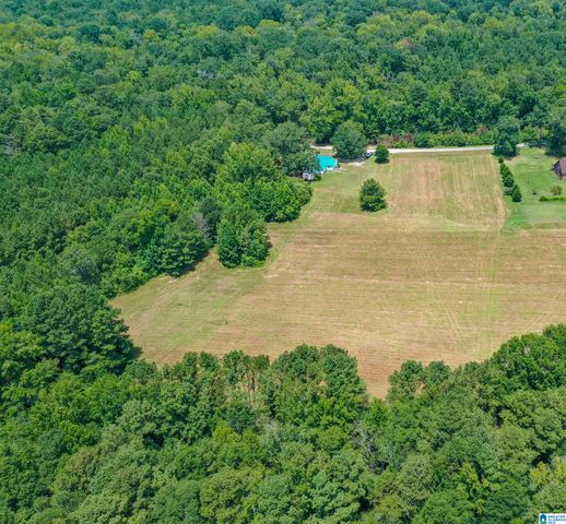 1675 BLUE EYE SPRINGS ROAD, Lincoln, AL 35096