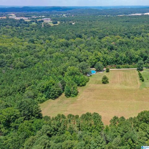 1675 BLUE EYE SPRINGS ROAD, Lincoln, AL 35096