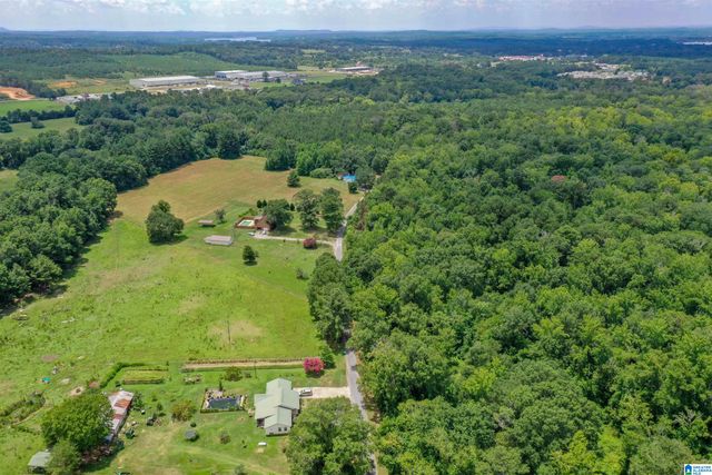 1675 BLUE EYE SPRINGS ROAD, Lincoln, AL 35096