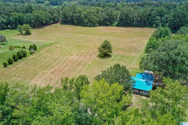 1675 BLUE EYE SPRINGS ROAD, Lincoln, AL 35096
