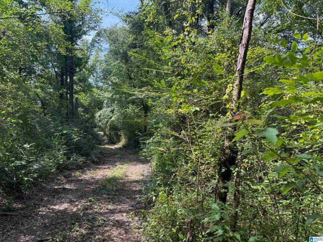 1675 BLUE EYE SPRINGS ROAD, Lincoln, AL 35096