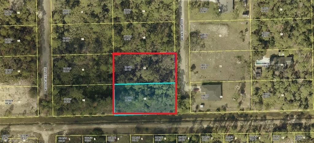 2201 AND 2203 McArthur AVE, Alva, FL 33920