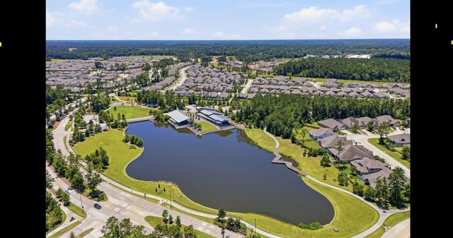 17434 Vino Vines Lane, Conroe, TX 77302