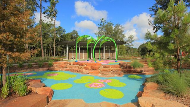 17434 Vino Vines Lane, Conroe, TX 77302