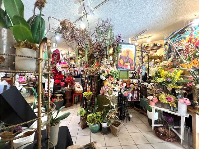 333 Alcazar Avenue, Coral Gables, FL 33134